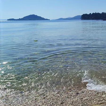 Sunny Eni *